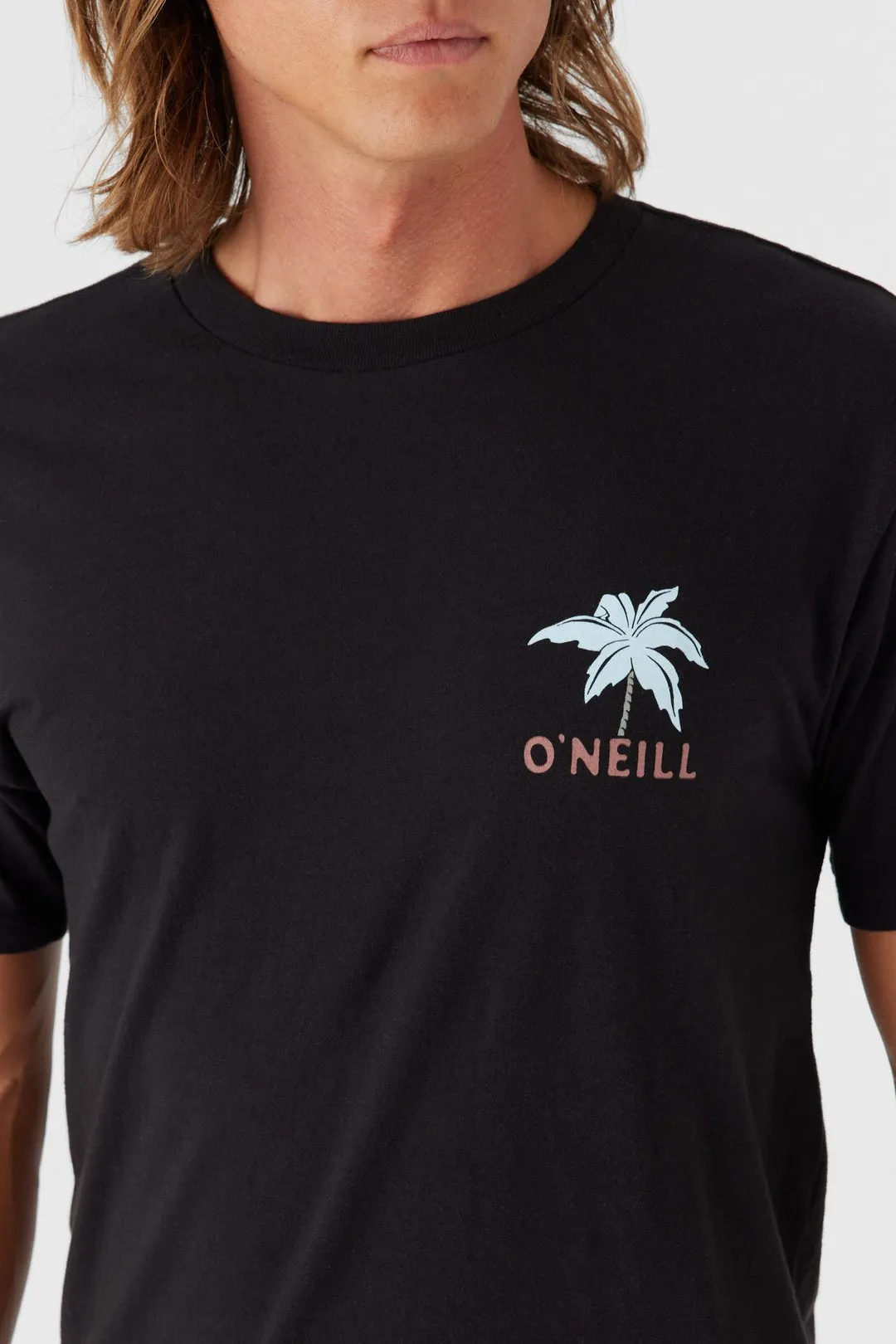 O'Neill Men's "Diamond Life" T-Shirt - Black